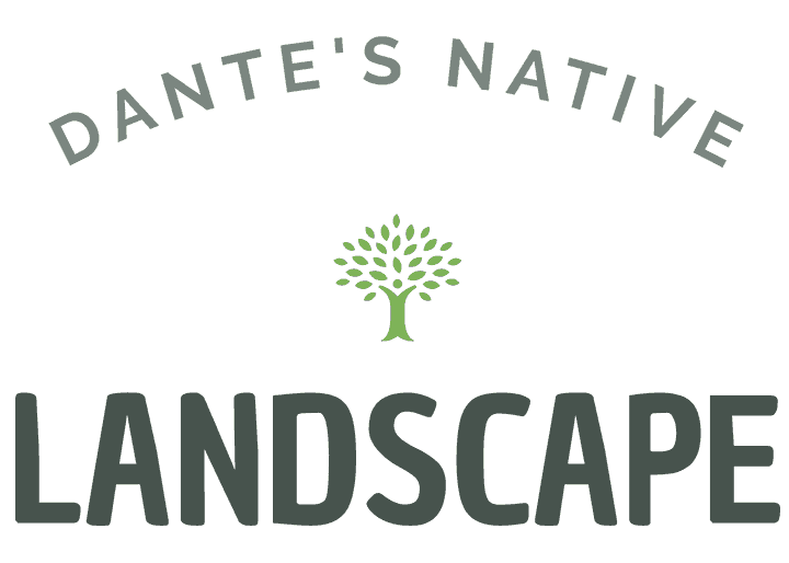 Dante's Native Landscape