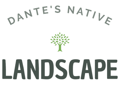 Dante's Native Landscape