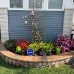 brussels dimension in sierra with plants