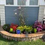 brussels dimension in sierra with plants