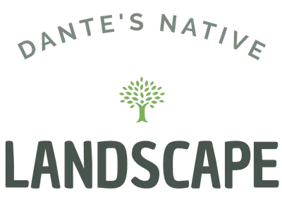 Dante's Native Landscape