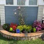 brussels dimension in sierra with plants